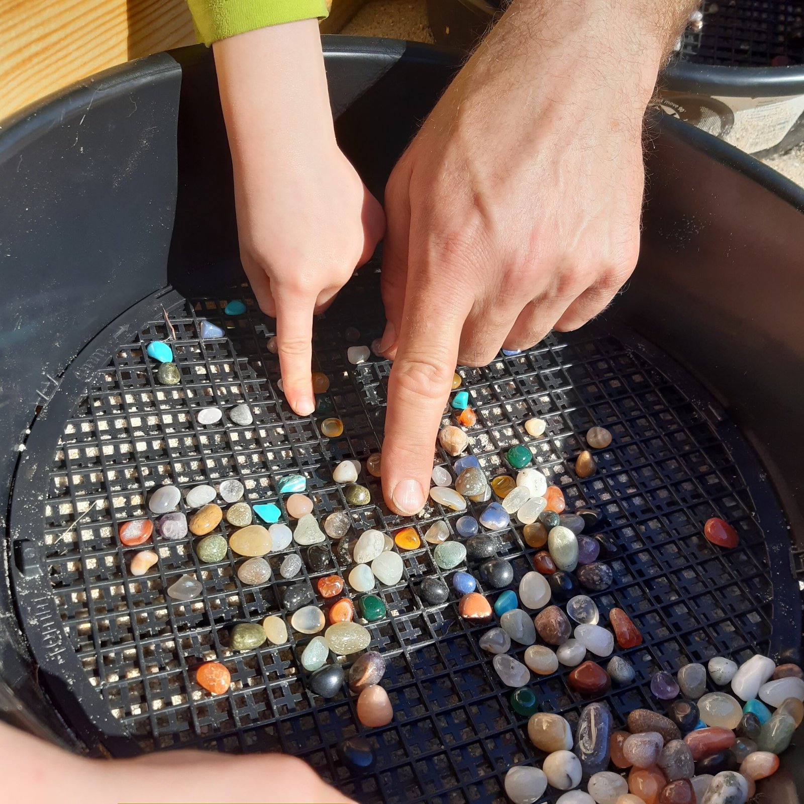 Edelsteinsuche für Kinder
Schatzsuche mit Edelsteinen
Kinder graben nach Edelsteinen
Sieben nach Edelsteinen im Sand
Abenteuer für kleine Schatzsucher
Mobile Edelstein-Erlebnisstation
Kinder bei der Edelstein-Schatzsuche
Edelsteinwaschen für Kinder
Edelsteinspielplatz
Kinder entdecken Mineralien